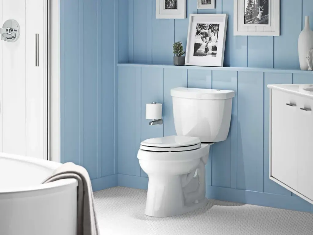What to Do When Your Toilet Overflows?
